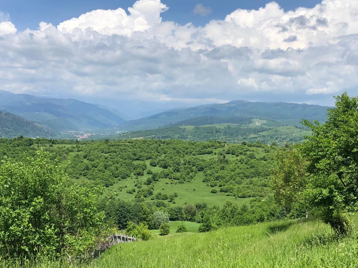 Pensiunea Cretisoara Cîmpulung Exterior foto